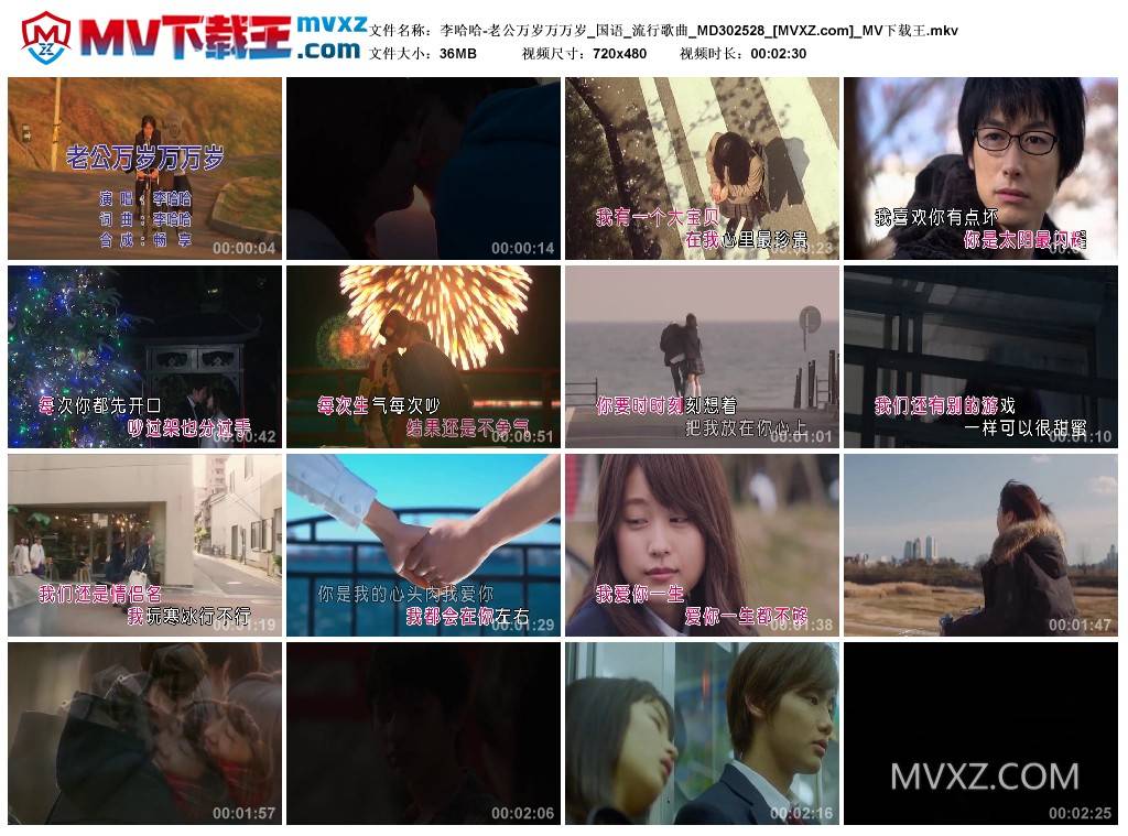 李哈哈-老公万岁万万岁_国语_流行歌曲_MD302528